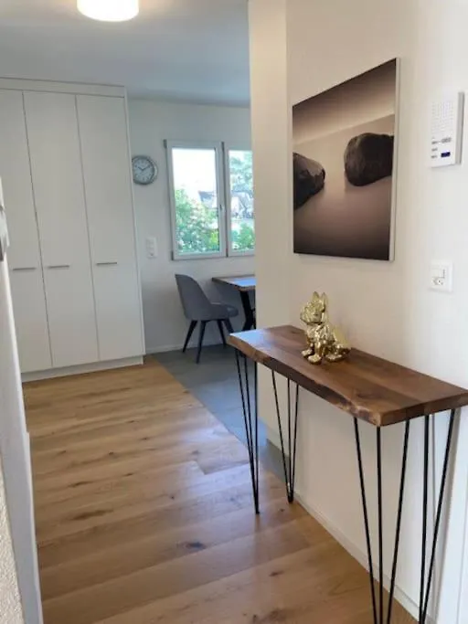 Faboulous 1Br Near City Center - Sun 16 Zurich