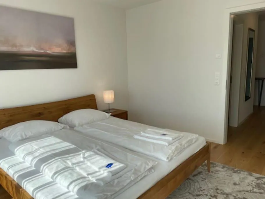 Apartment Faboulous 1Br Near City Center - Sun 16 Zurich